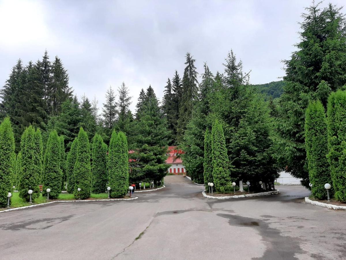 Casute Valea Zanelor Hotell Covasna Exteriör bild