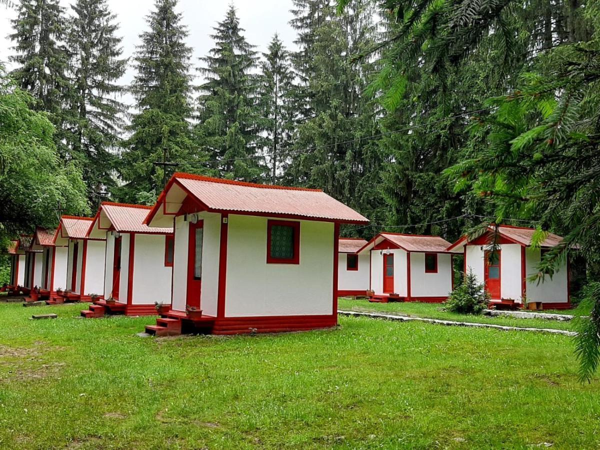 Casute Valea Zanelor Hotell Covasna Exteriör bild
