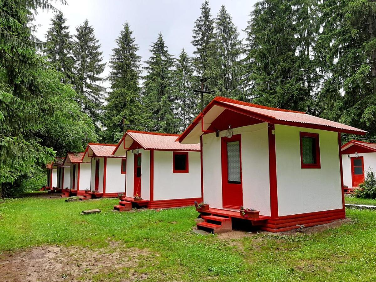 Casute Valea Zanelor Hotell Covasna Exteriör bild