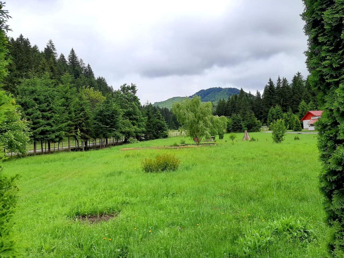 Casute Valea Zanelor Hotell Covasna Exteriör bild