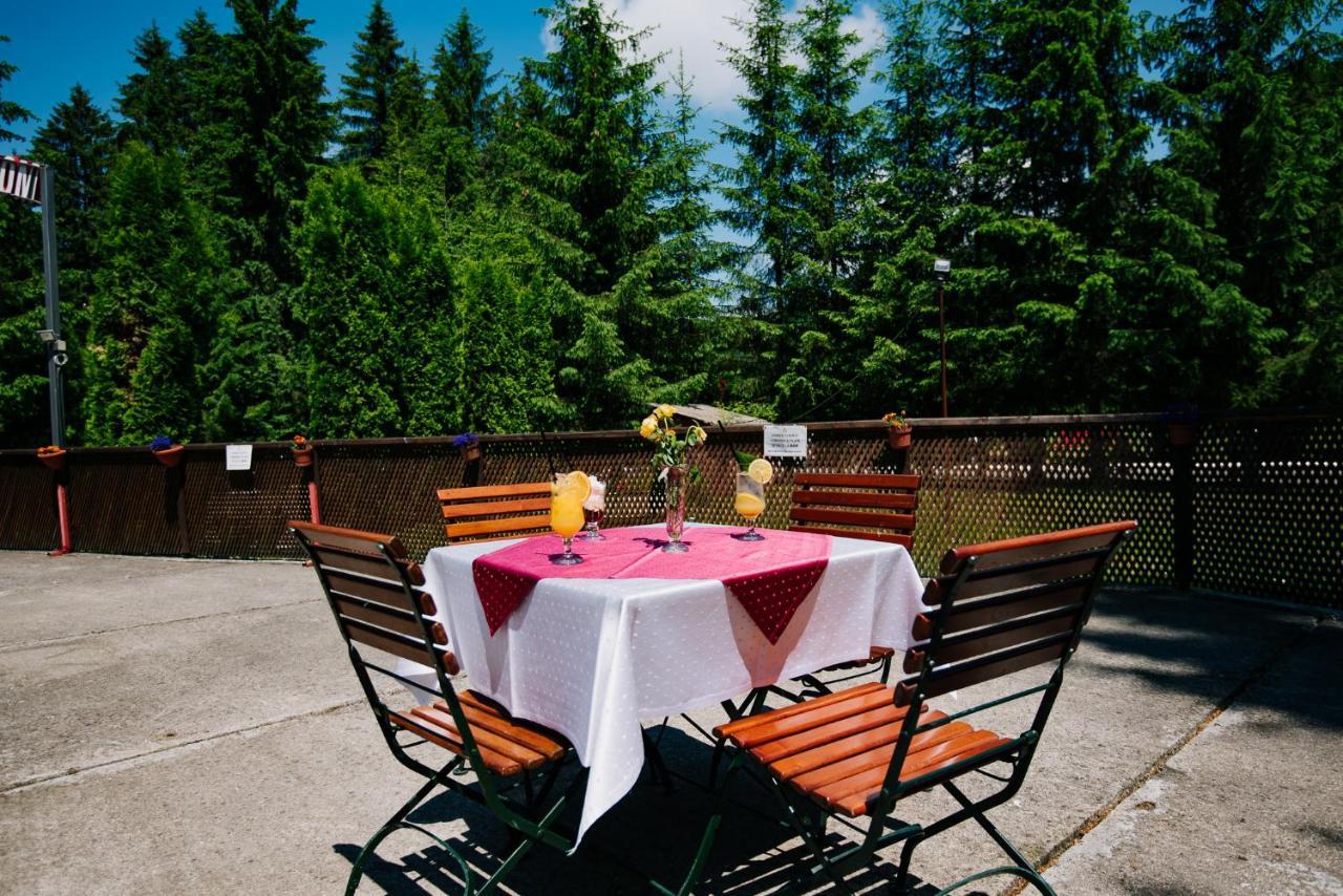 Casute Valea Zanelor Hotell Covasna Exteriör bild