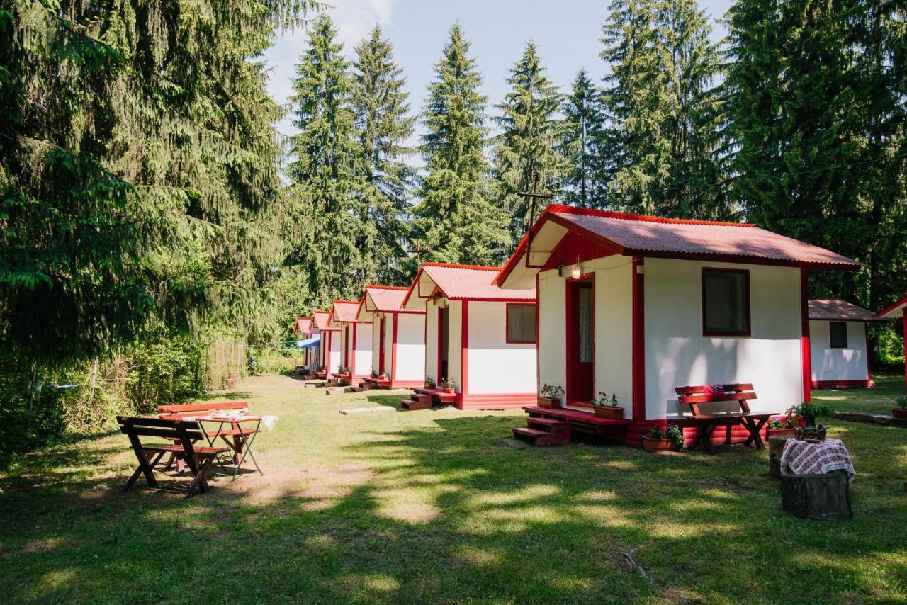 Casute Valea Zanelor Hotell Covasna Exteriör bild