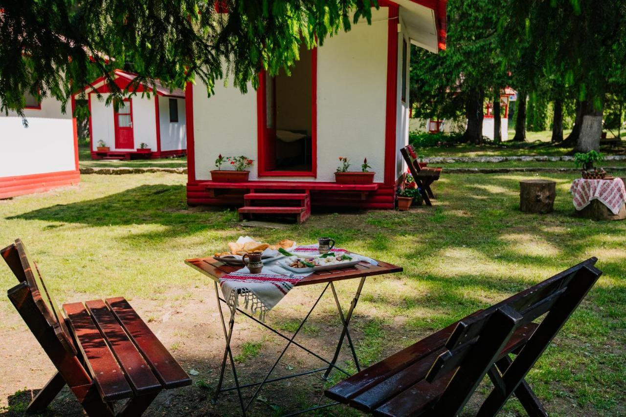 Casute Valea Zanelor Hotell Covasna Exteriör bild